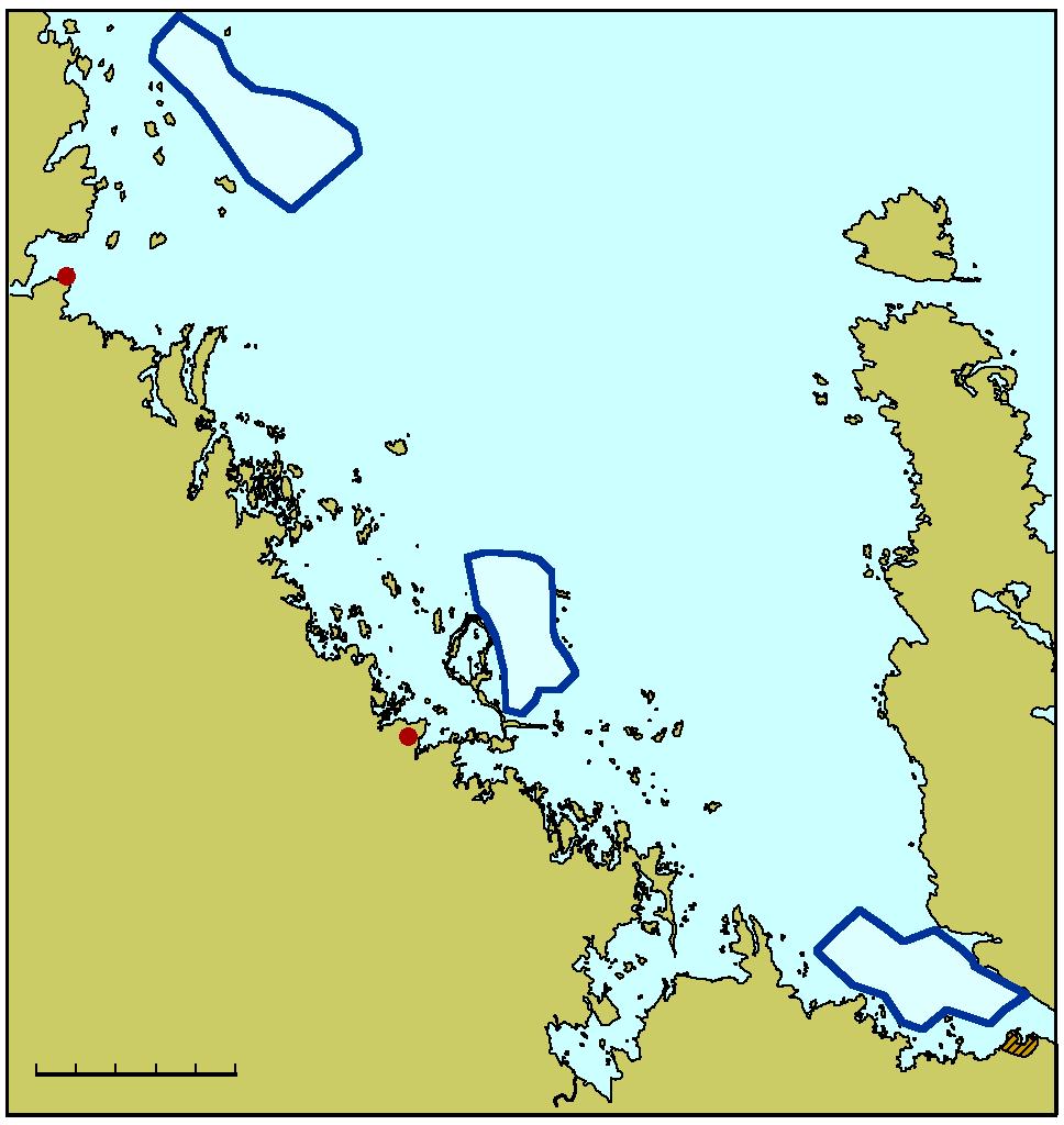 21:2 avkommorna utan att förändra något i individens fysiologi eller utseende. Därmed blir mikrosatelliterna variabla och det går lätt att hitta även små genetiska skillnader mellan populationer.