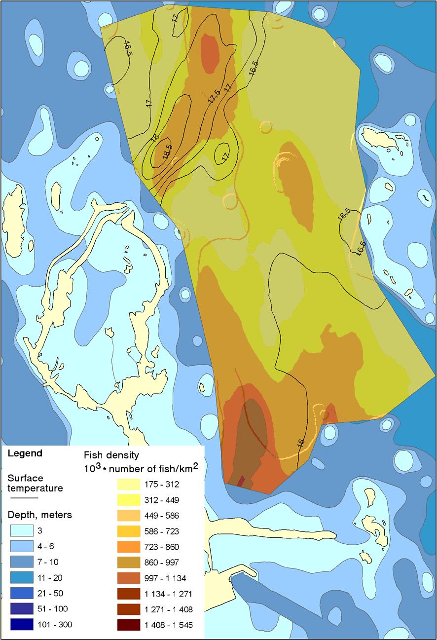 Ser man specifikt på resultaten inom Forsmarksområdet, som inkluderar kylvattenplymen, kunde inte någon generell anlockning eller skyende av fisk ses i förhållande till plymområdet (figur 23 och 24).