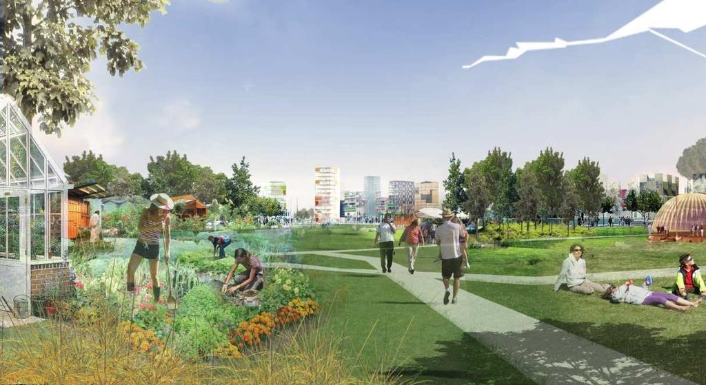 SID 8 (11) Kolonilotter och parkbyggnader Dagens koloniområde flyttas till ett annat läge i parken, där odlingstemat kommer kunna utvecklas ännu mer.