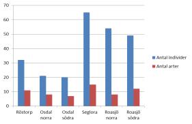 Resultat Både antal individer och arter av dagfjärilar var lågt under inventeringen.