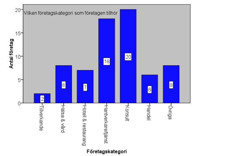 Företagskategori Vilken företagskategori tillhör företagen?