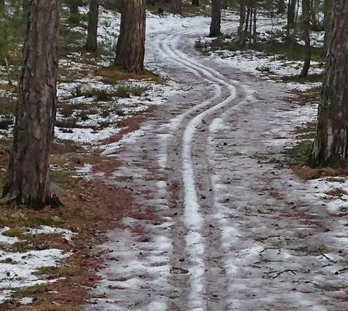 Skönt var förstås också att de första gemensamma skidträningarna på det nya året kunde genomföras i sitt rätta element.