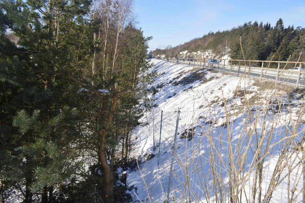 Figur 8. Övre delen av slänten. Foto från öster. Det finns ett väckräcke längs sträckan idag men enligt Trafikverket kan det inte klassas som ett högkapacitetsräcke 1, se Figur 9.