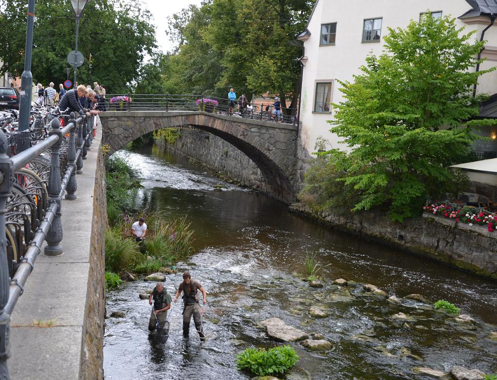 TACKORD Tack till Per Stolpe, Upplandsstiftelsen, och Filippa Ek, Stockholms universitet, för väl utfört fältarbete.