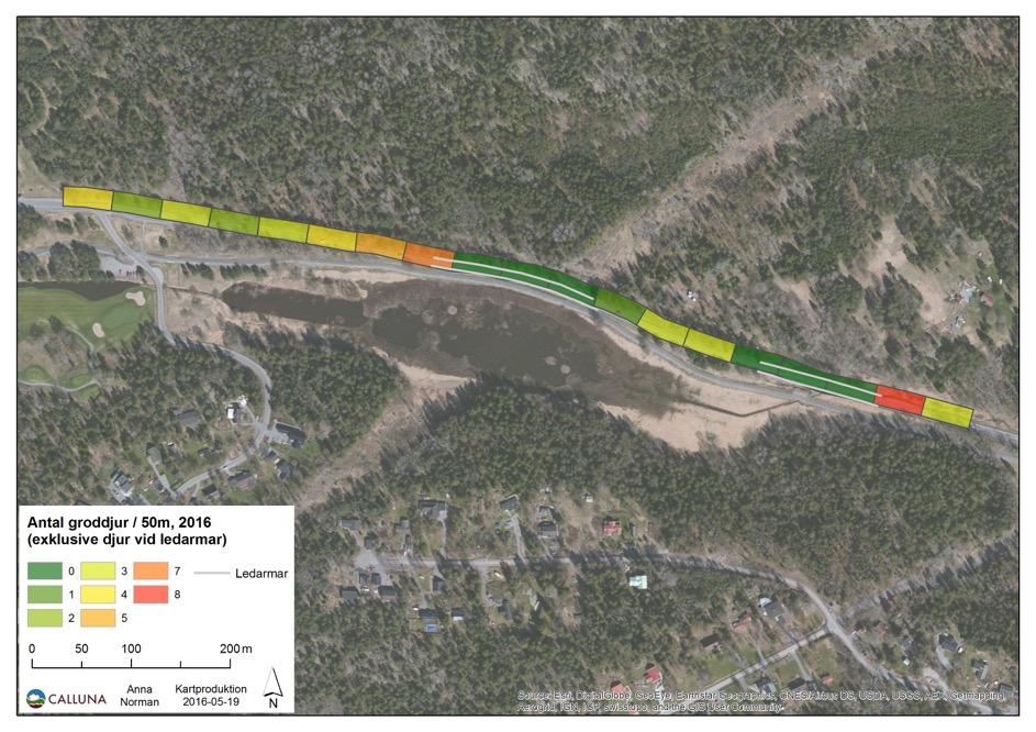 50 meters-intervall och därefter färgklassats efter hur många groddjur som befunnit sig på vägen eller i direkt anslutning till vägen, det vill säga i diket norr om Stavsnäsvägen, inom varje