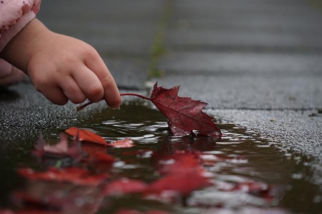Ambitionshöjning i vår praktik? Förtydligat uppdrag-förändrad pedagogik?