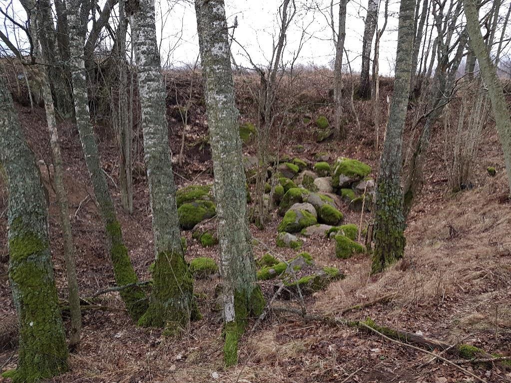 Trädgårdsstaden Etapp 3, Skövde kommun Miljöteknisk undersökning Rapport 170224 I denna grusgrop bestod det deponerade materialet till största del av sten och kalkstensblock.