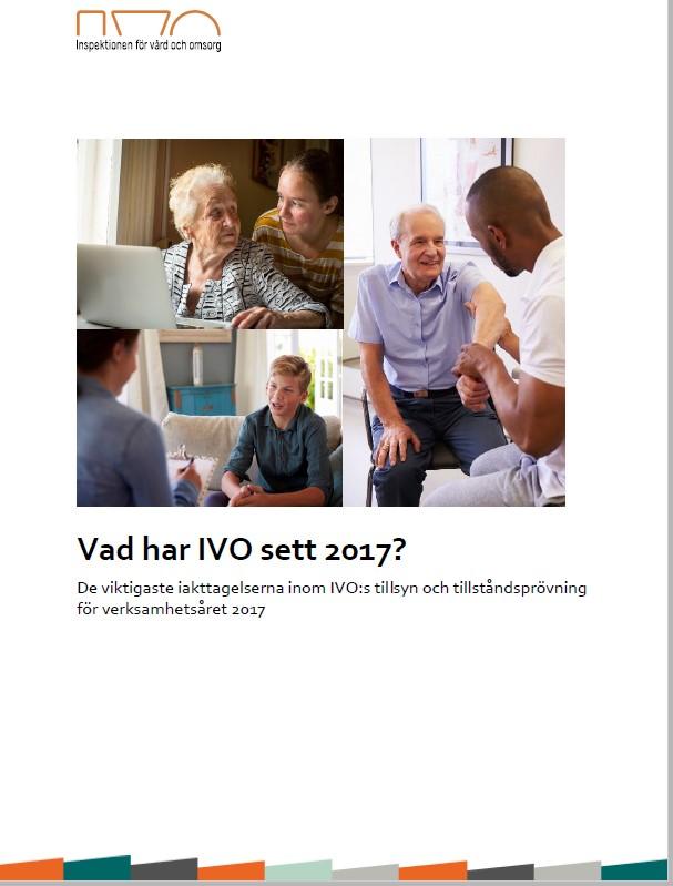 Vad har IVO sett 2017?