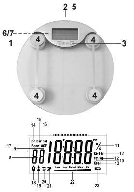 Översikt 1 På / Av knapp 2 + / - Val tangenter 3 Minnestangent för personliga värden 4 Anläggningsytor 5 Display Undersida 6 Batterifack 7 Omkopplare för olika enheter - kg, lb, St: (lb) Display 8