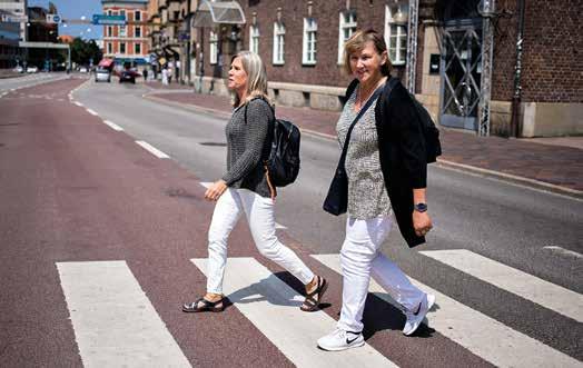 SQ VINJETT V Allt som händer i rummet under tolkning är vårt ansvar. komma en stund i förväg första gången de möts, så att de kan förklara bakgrund och syfte med Alhvas verksamhet.
