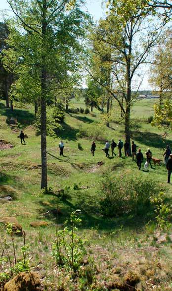 54 Knivsta ÖVERSIKTSPLAN 2035 med utblick mot 2050 Mellan Alsike och Knivsta finns ett sammanhängande grönt stråk, från Lunsen i nordväst ner mot Valloxen i sydost.