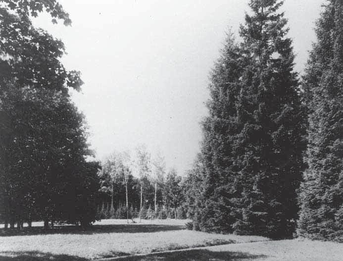 Området var av allt att döma trädlöst vid anläggandet, vilket innebär att inga träd i den västra delen är äldre än ca 130 år och i den östra delen är inga träd äldre än ca 100 år.