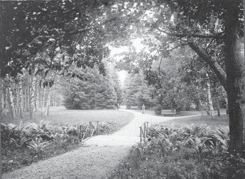 Vy in mot Nya parken över Ormbunksbäcken ca 1920.