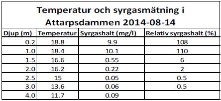 Genomförda undersökningar Bottentopografi och
