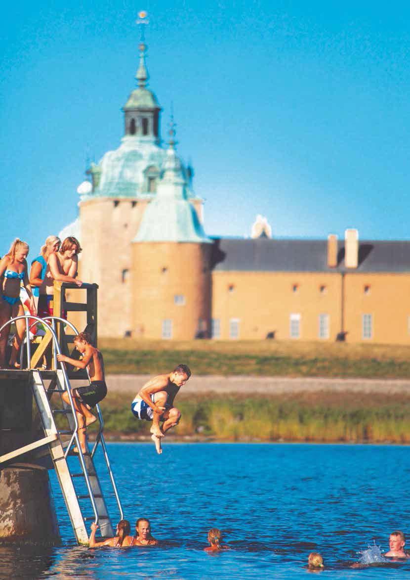 VÅR MÅLBILD