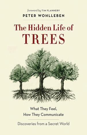 Hidden Life of Trees Peter