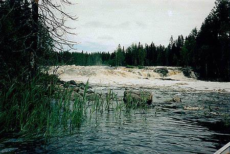 Bjurholms Kommun Organisationen Flyktingmottagningen ligger organisatoriskt under kommunstyrelsen. Mottagningen har 2.