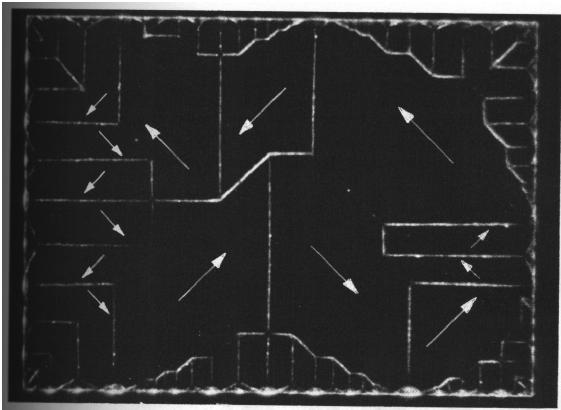 domäner Domängränserna Ferromagnetiska ämnen