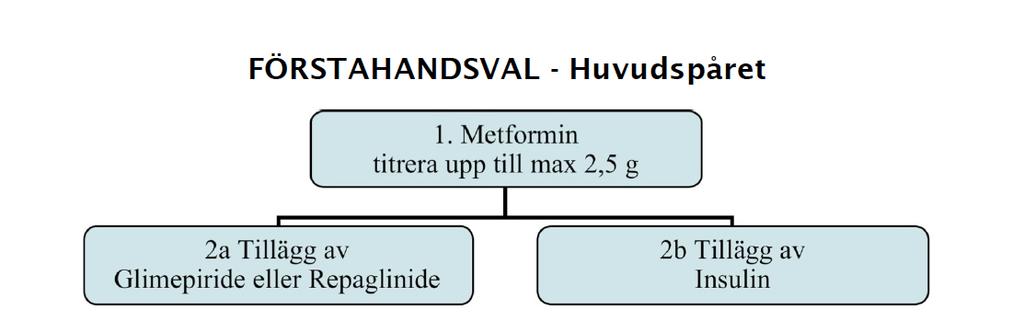 VGR 2016 Tredje Linjen