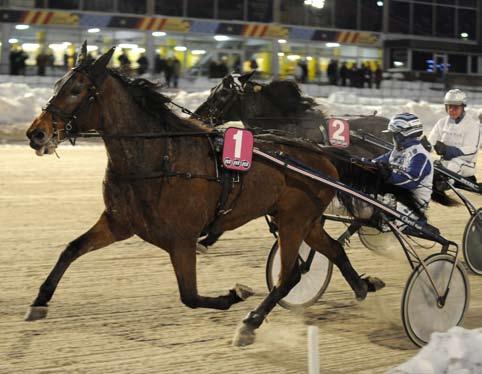 100222 Revansch för Åsundens Gigant Igår fick Åsundens Gigant revansch efter förlusten senast. Återigen spelades sjuåringen till favorit och höll nu för trycket.