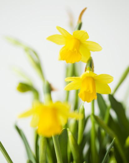 Lördag 14 april 15.