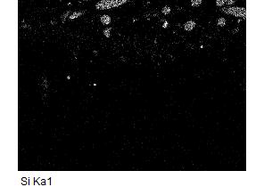 exposure testing in
