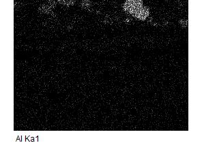 EDS maps of 16Mo3