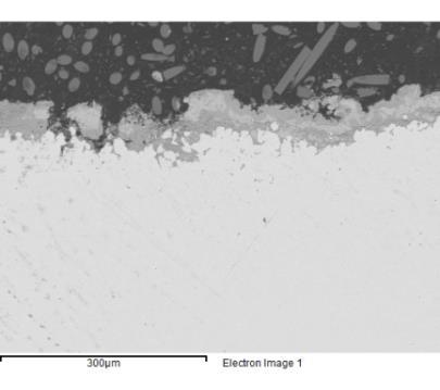 EDS maps of 16Mo3