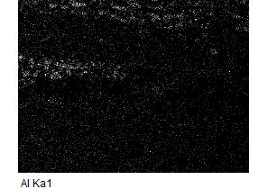 EDS maps of 16Mo3