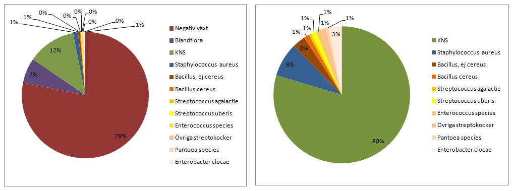 RESULTAT Odlingsresultat Av proverna var 822 stycken (78 %) negativa vid odling och i 67 prover (6,4 %) konstaterades växt av blandflora.