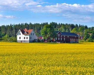 15 TILLSYN AV MINDRE LANTBRUK Bakgrund och omfattning Flera projekt om lantbruk har bedrivits av både Miljösamverkan Västra Götaland (MVG) och Miljösamverkan Halland (MH), exempel är Miljötillsyn vid