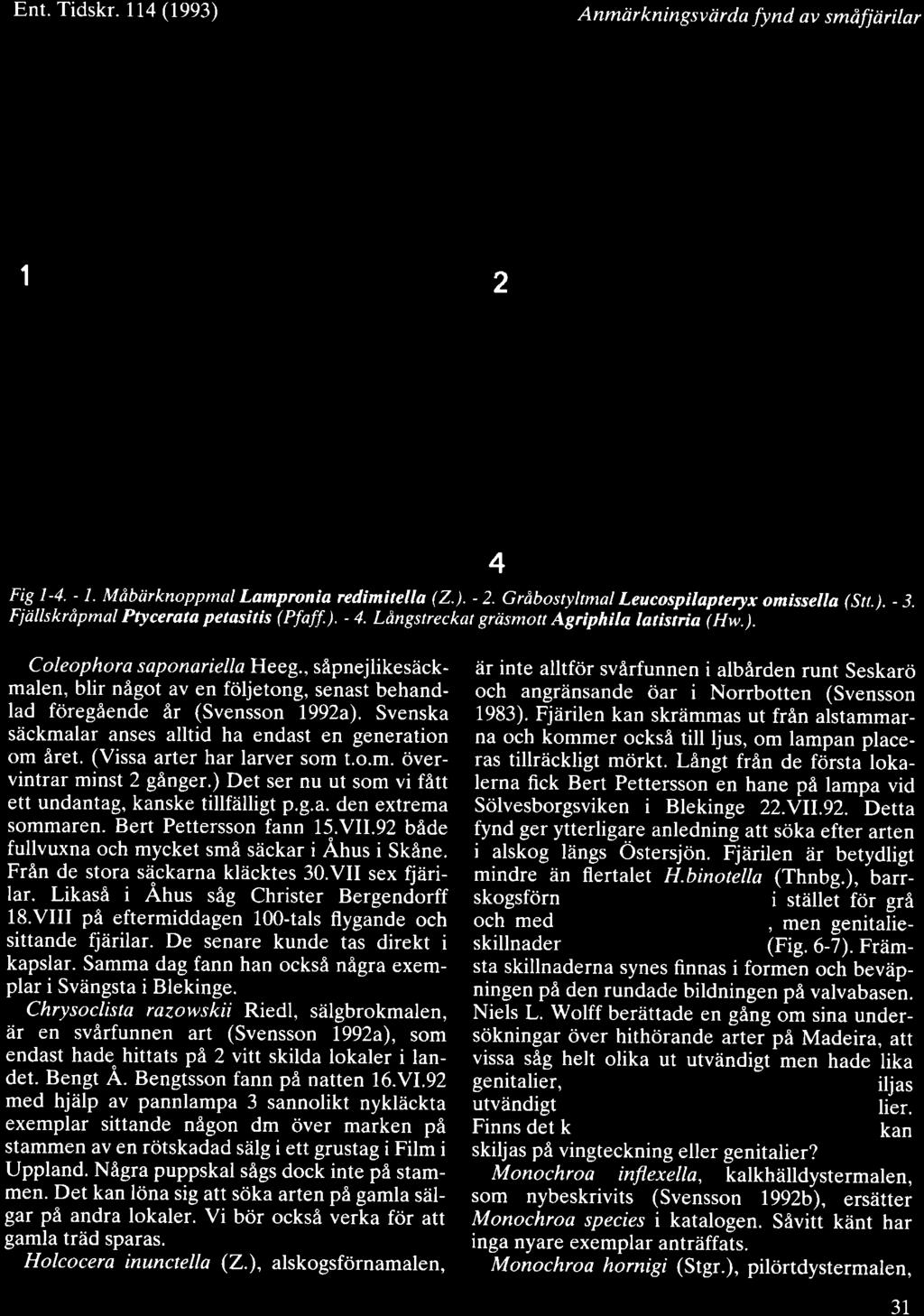 Ent. Tidskr. l14 (1993) Anmiir kningsv iirda fy nd av smdfj iirilar I 2 I : 4S fl. 1., Mdbiirknoppmal Lampronia redimitella (2.).- 2.Grdbostyltmal Leucospilapteryx omissella (51.). - 3.