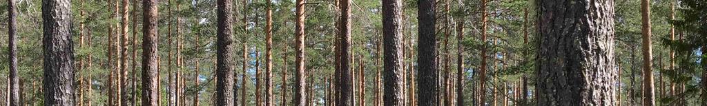 beräknas avverkningsmöjligheten på hela innehavet i kommunen).