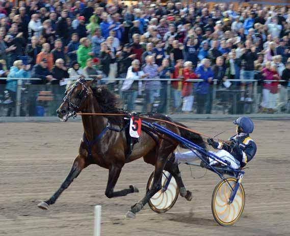 CHAMPIONS Kuskhmpion Nmn strter Seger Inkört proent. ohn Untersteiner Hd 89.98.:-. Peter Untersteiner Hd 9 9..:-. Stefn Söderkvist 9..:-. Christoffer Eriksson 9..8:-. Kevin Osrsson Hd 9 8 9.88.
