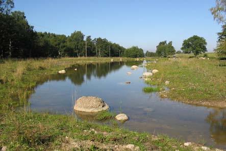 Torps by (vid Öveds kloster), Sjöbo kommun Ett ca 12 ha stort våtmarksområde har anlagts på betesmark.
