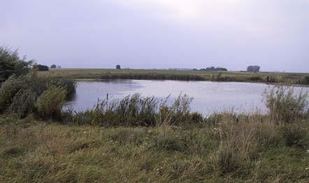Våtmarkerna blev färdiga i september 2005. Denna lokal har valts ut för utplantering av glansskivsnäcka samt spets- och bandnate.