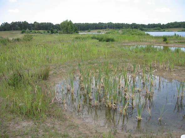 Bilaga 1 Genomförande Arbetet under 2009 har omfattat följande moment: Insamling på befintlig leklokal Utplantering i Smygekärr Efterkontroll Vattenkemiska undersökningar Utvärdering Flytt av ägg och