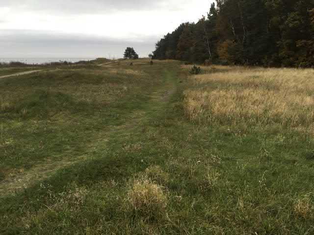 73. Grässandhedar sgrupp Högsta naturvärde - naturvärdesklass Sandmiljö Grässandhedar Förekommer Natura 2000 : Naturanaturtyp med gynnsamt tillstånd Grässandhed intill stranden med artrikt fältskikt