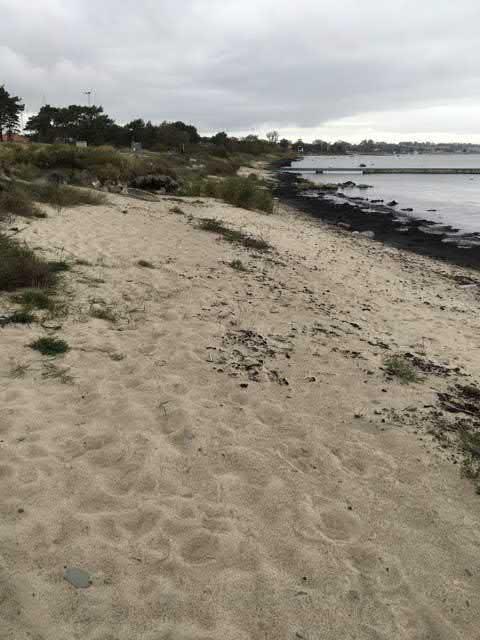 74. Marin strand/driftvallar sgrupp Högt naturvärde - naturvärdesklass 2 Havsstrand Driftvallar, Sandstränder vid Östersjön känd förekomst Natura 2000 : Icke Naturanaturtyp Marin strand med naturlig