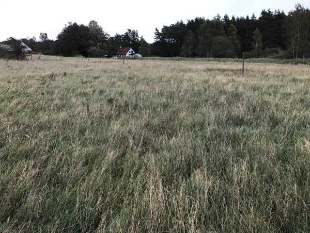 0. Hed vid Hagestadskylten sgrupp Högsta naturvärde - naturvärdesklass Äng och betesmark Silikatgräsmarker, Grässandhedar Förekommer Natura 2000 : Naturanaturtyp med ej gynnsamt tillstånd Ohävdad