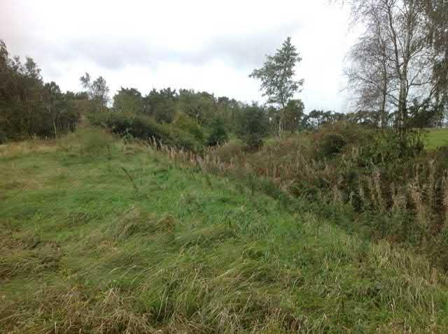 7. F d hävdad mark sgrupp Påtagligt naturvärde - naturvärdesklass 3 Igenväxningsmark F d hävdad mark Småvatten och våtmark i jordbruksmark känd förekomst Natura 2000 : Icke Naturanaturtyp Ett