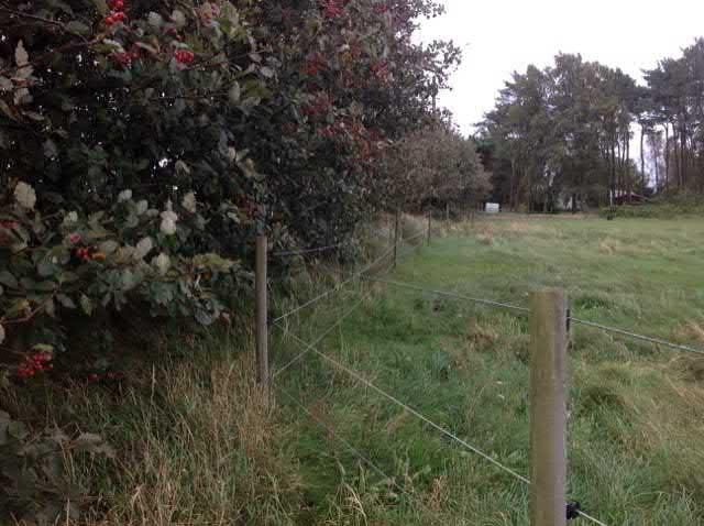 58. Allé mellan åkrar sgrupp Visst naturvärde - naturvärdesklass 4 Äng och betesmark Hävdbetingat skogsbryn Allé (minst 5 träd) känd förekomst Natura 2000 : Icke Naturanaturtyp Ett objekt med en inte