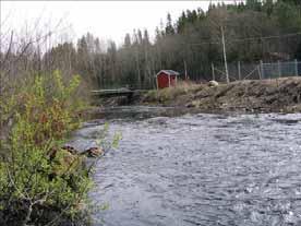 106: Rolfsån Nordån-Nolån Naturcentrum 2004/2005 Provsträcka 42 Startpunkt Slutpunkt Förekomst av flodpärlmussla En 100 m-sträcka i Nolån inventerades 2005-05-11. Endast en flodpärlmussla noterades.