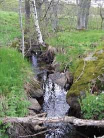 106: Rolfsån Lövbrobäcken Befintligt skydd Lövbrobäcken ligger inom område av riksintresse för naturvård (NRO14166, Lygnern och Storåns dalgång).