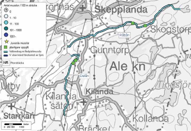 Förekomst av flodpärlmussla i Västra Götalands län 108: Göta Älv Dalån Råttån Ale kommun Delavrinningsområde: Grönå Aroid: 643296-128693 Råttån rinner från trakten kring Hålan ner till Forsån strax