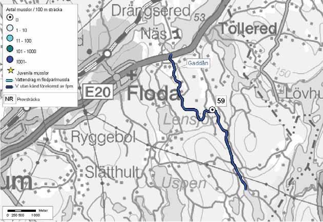 Förekomst av flodpärlmussla i Västra Götalands län 108: Göta Älv Gaddån Gaddån Lerums kommun Delavrinningsområde: Säveån Aroid: 641569-129645 Karta över Gaddån, där inga musslor hittades 2004.