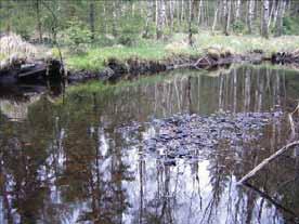 9 tomma skal hittades även i vattnet. Omgivningen domineras av barrblandskog som är sumpig närmast ån.