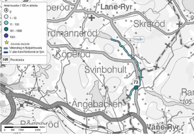 109: Bäveån Risån Avrinningsområde 109: Bäveån Risån Uddevalla och Vänersborgs kommuner Avrinningsområde: Bäveån Aroid: 647461-128359 Karta över Risån, där flodpärlmusslor konstaterades 2004.