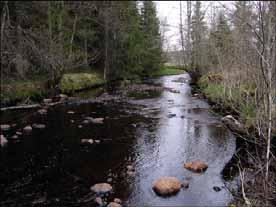 Befintligt skydd Åns upprinningsområde ingår i naturreservat (1502051, Komosse södra). Det finns inget skydd av själva ån.