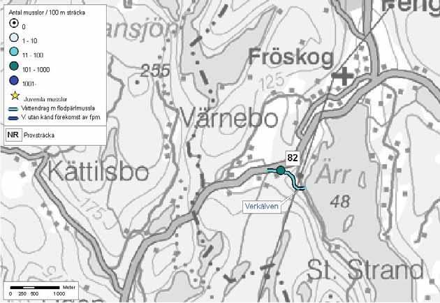 131/132: Knarrbyån Verkälven Avrinningsområde 131/132 Knarrbyån Verkälven Åmål kommun Delavrinningsområde: Verkälven Aroid: 654260-130575 Karta över Verkälven, där flodpärlmusslor konstaterades 2004.